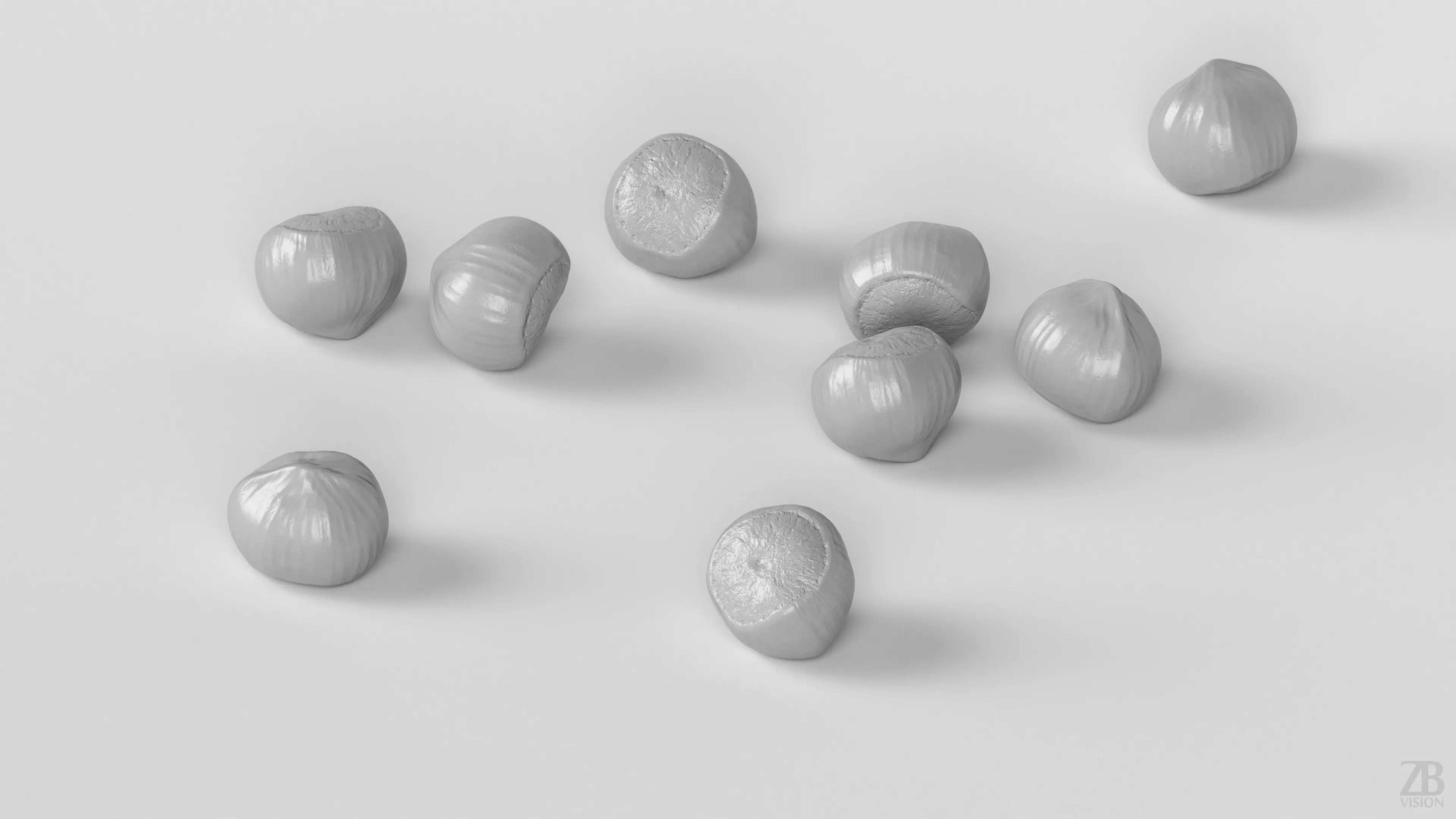 Hazelnut 3D model_3
