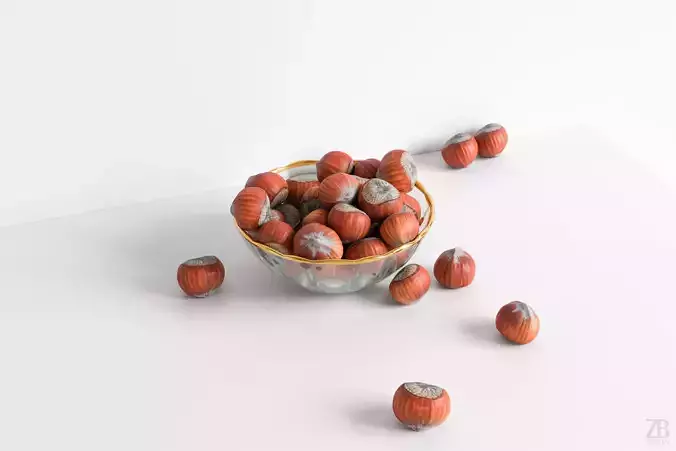 Hazelnut 3D model
