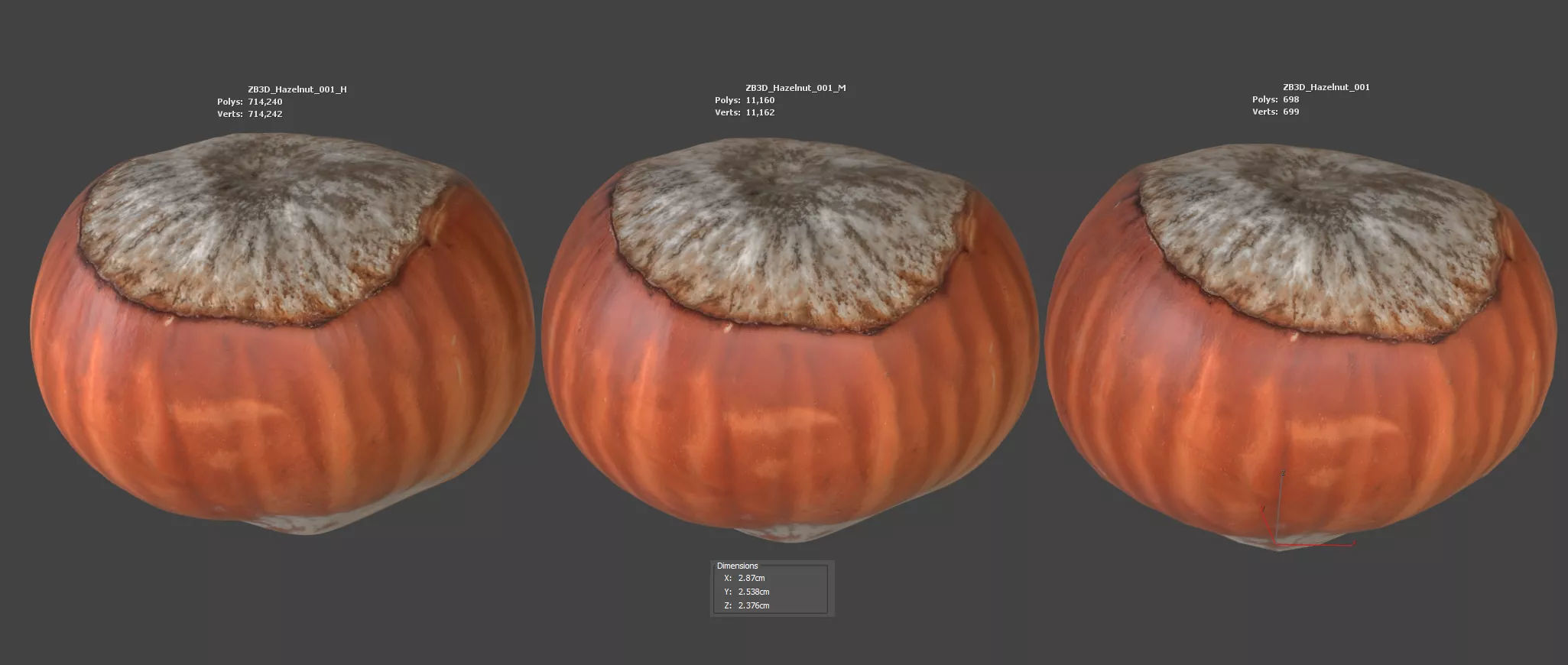 Hazelnut 3D model_5