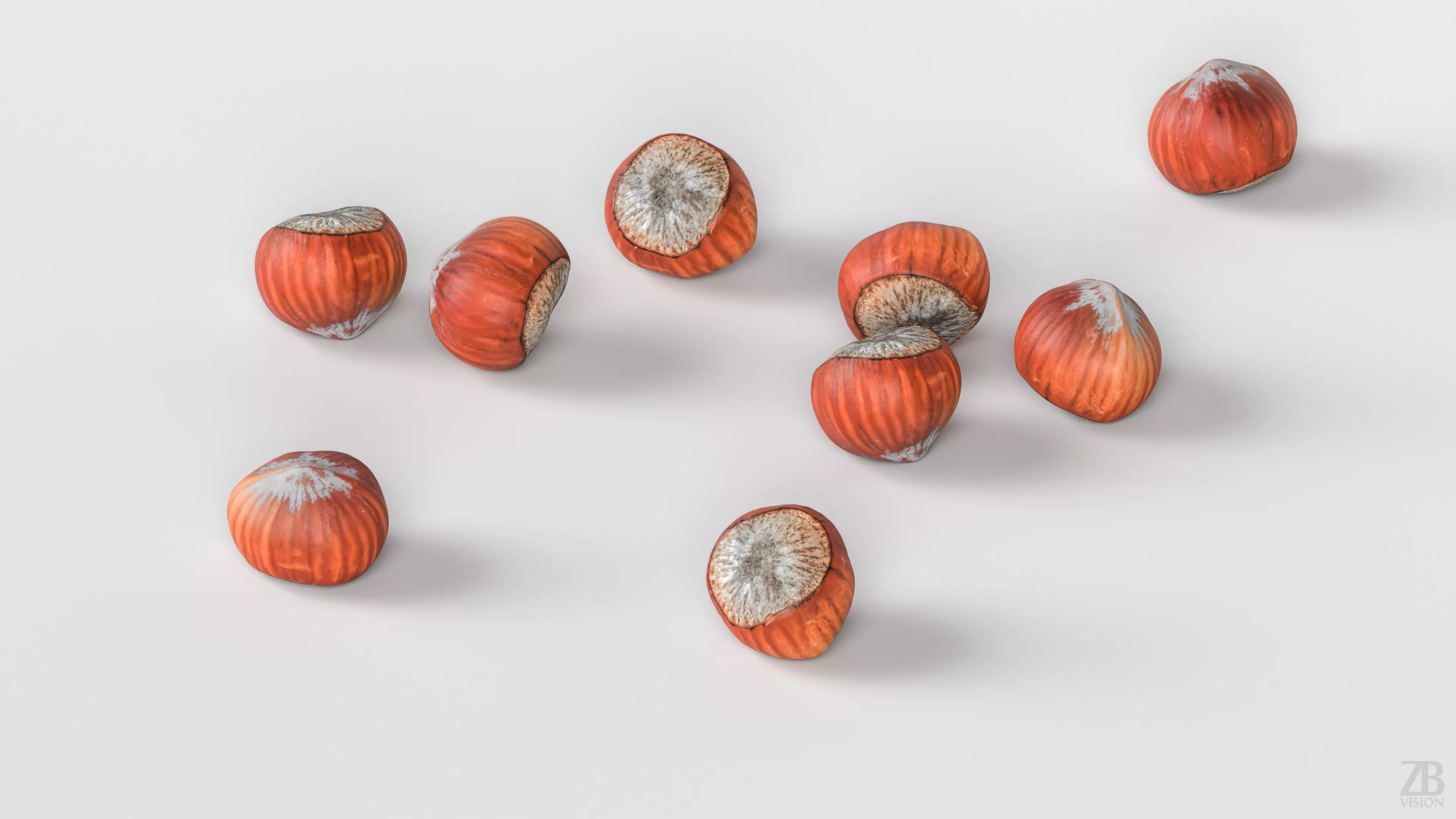 Hazelnut 3D model_2