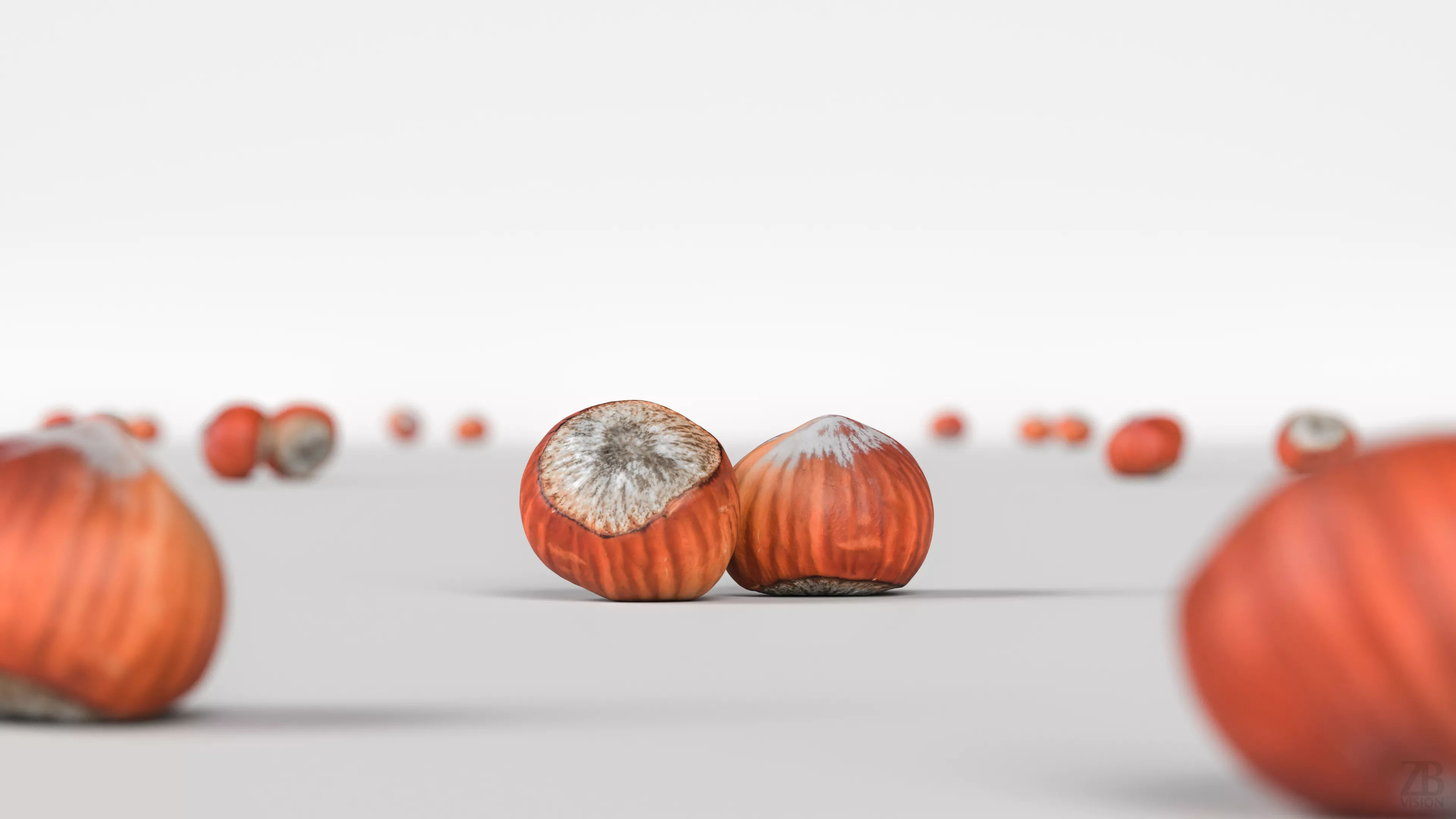 Hazelnut 3D model_1