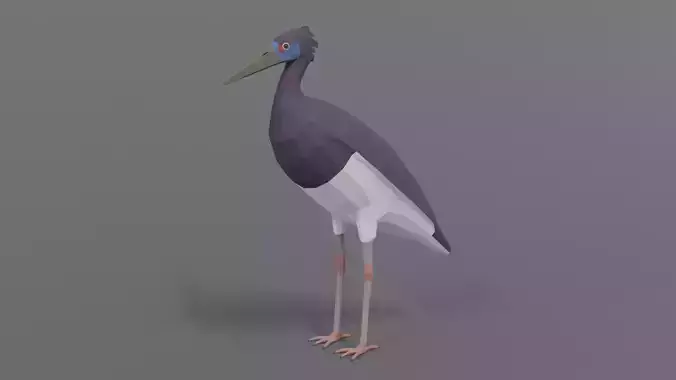 Low Poly Cartoon Abdim Stork Low-poly 3D model
