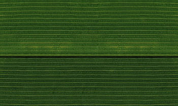 west elm modern buffet 3D model_9