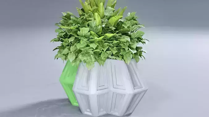 4 Hexa Flower Pot Vase 3D print model