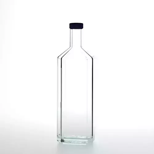 Bottle 3D model