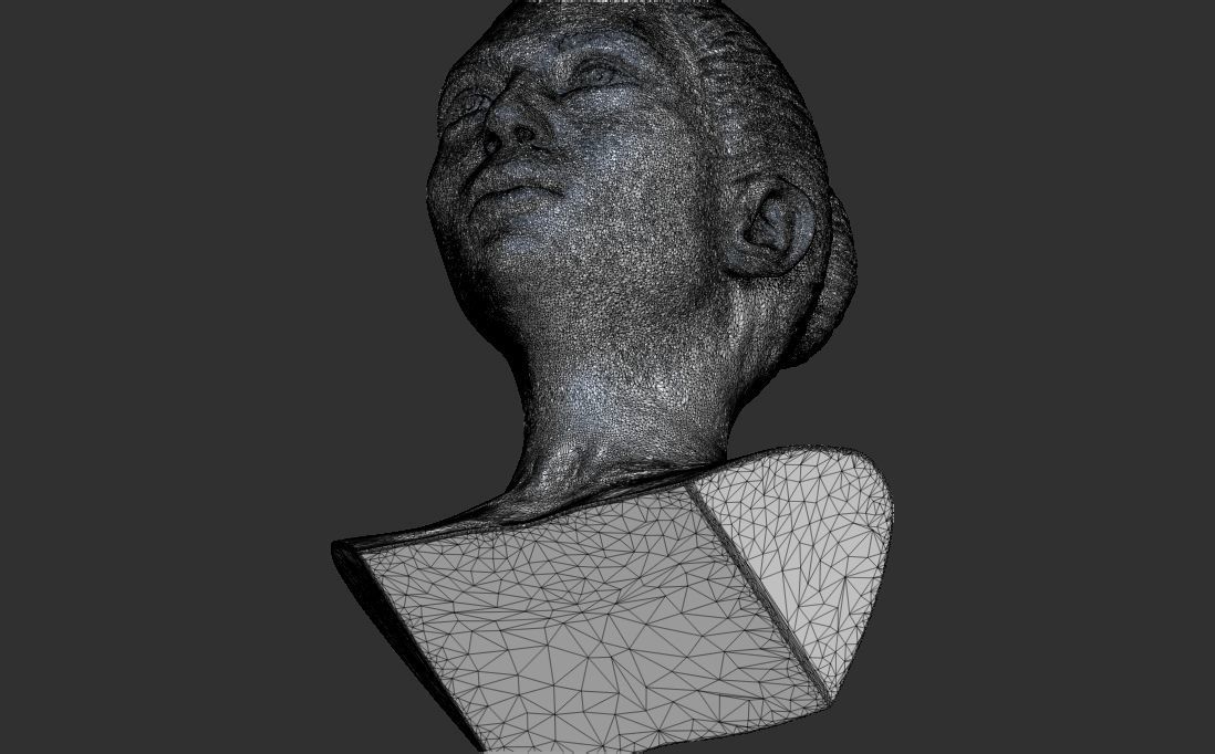 Beautiful woman bust 3D printing ready TYPE 6 Free 3D print model_21