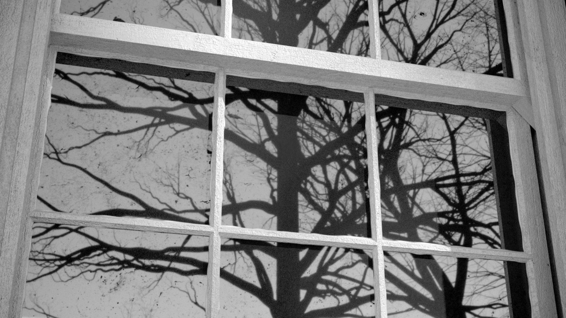 Home Alone Cinema Scene Old House Decoration McCallister 3D model_10