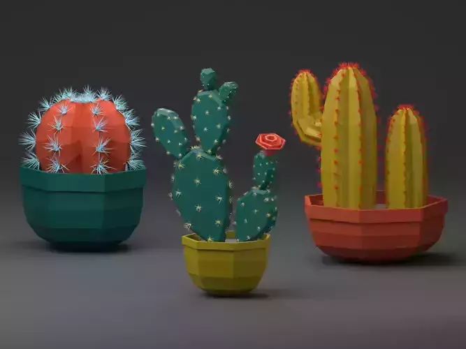 Cactus set in pot