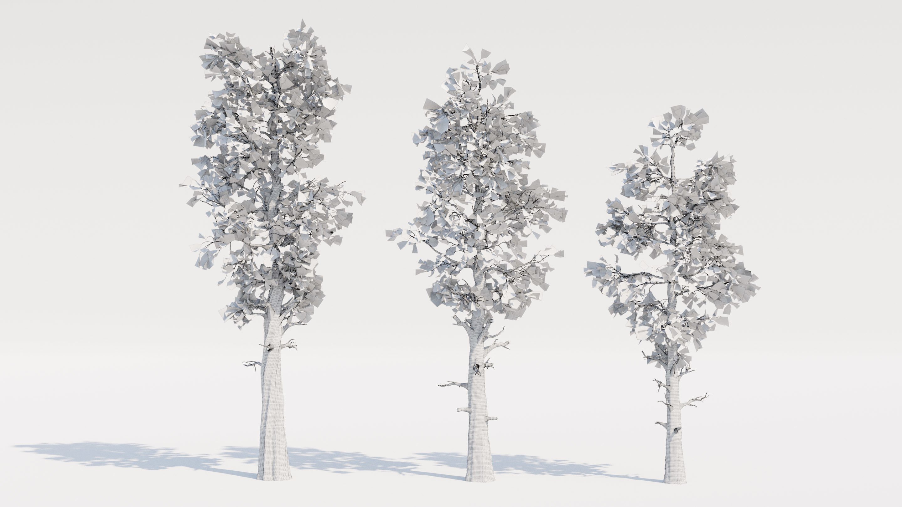 Trio of Large Pine Trees Free 3D model_3
