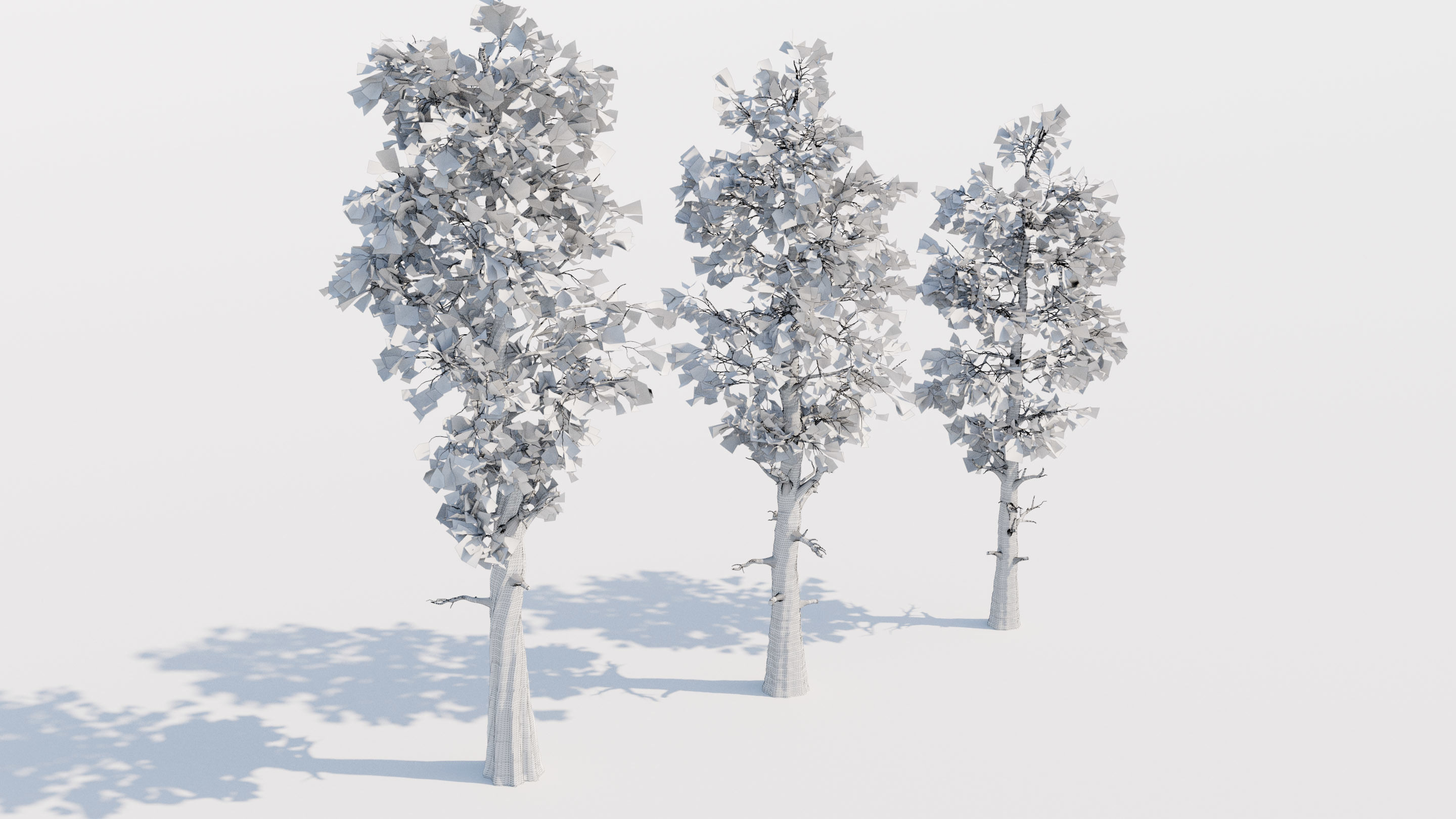 Trio of Large Pine Trees Free 3D model_2