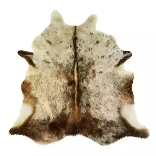 Carpet Cowhide Brown White 11