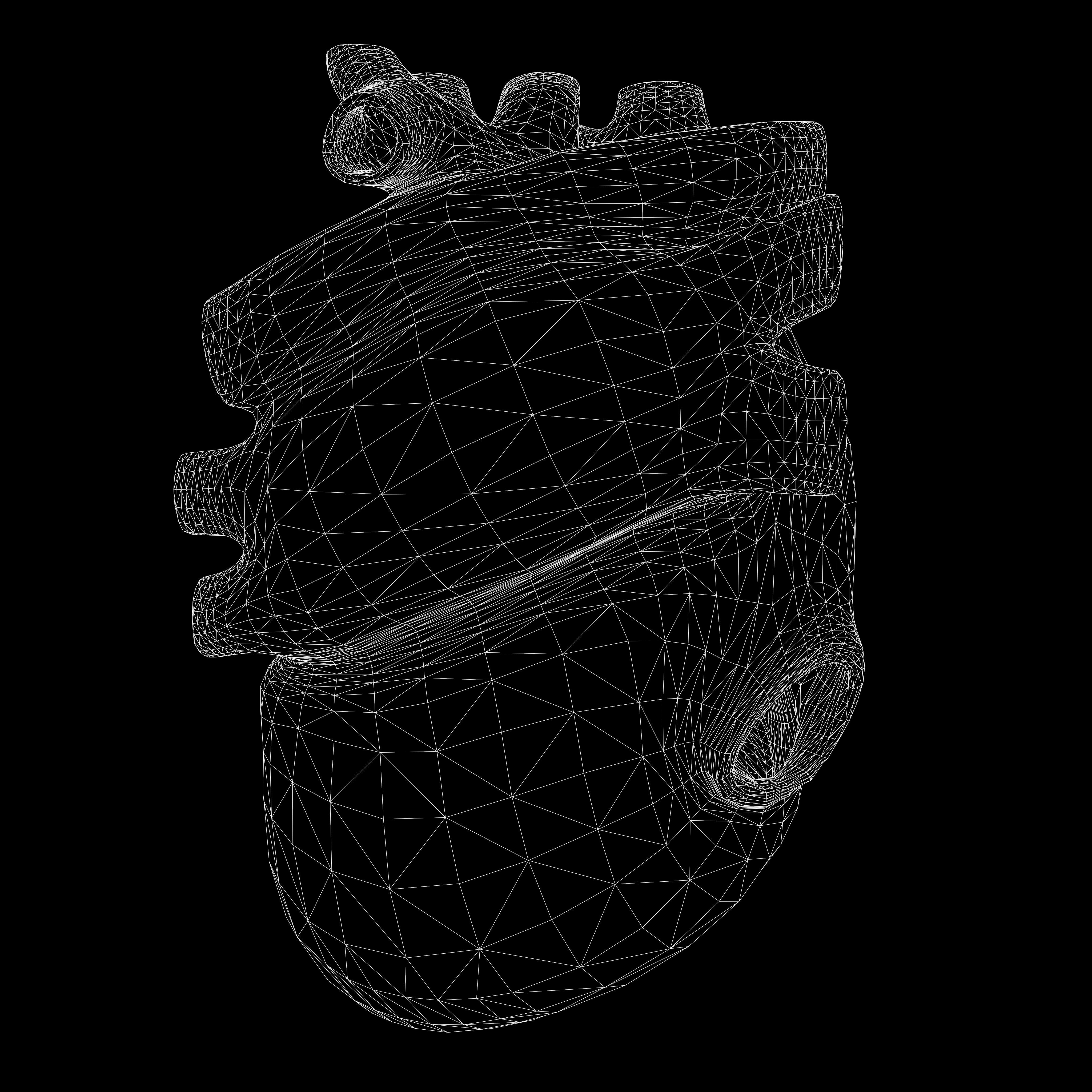 Human Heart Section 3D model_6