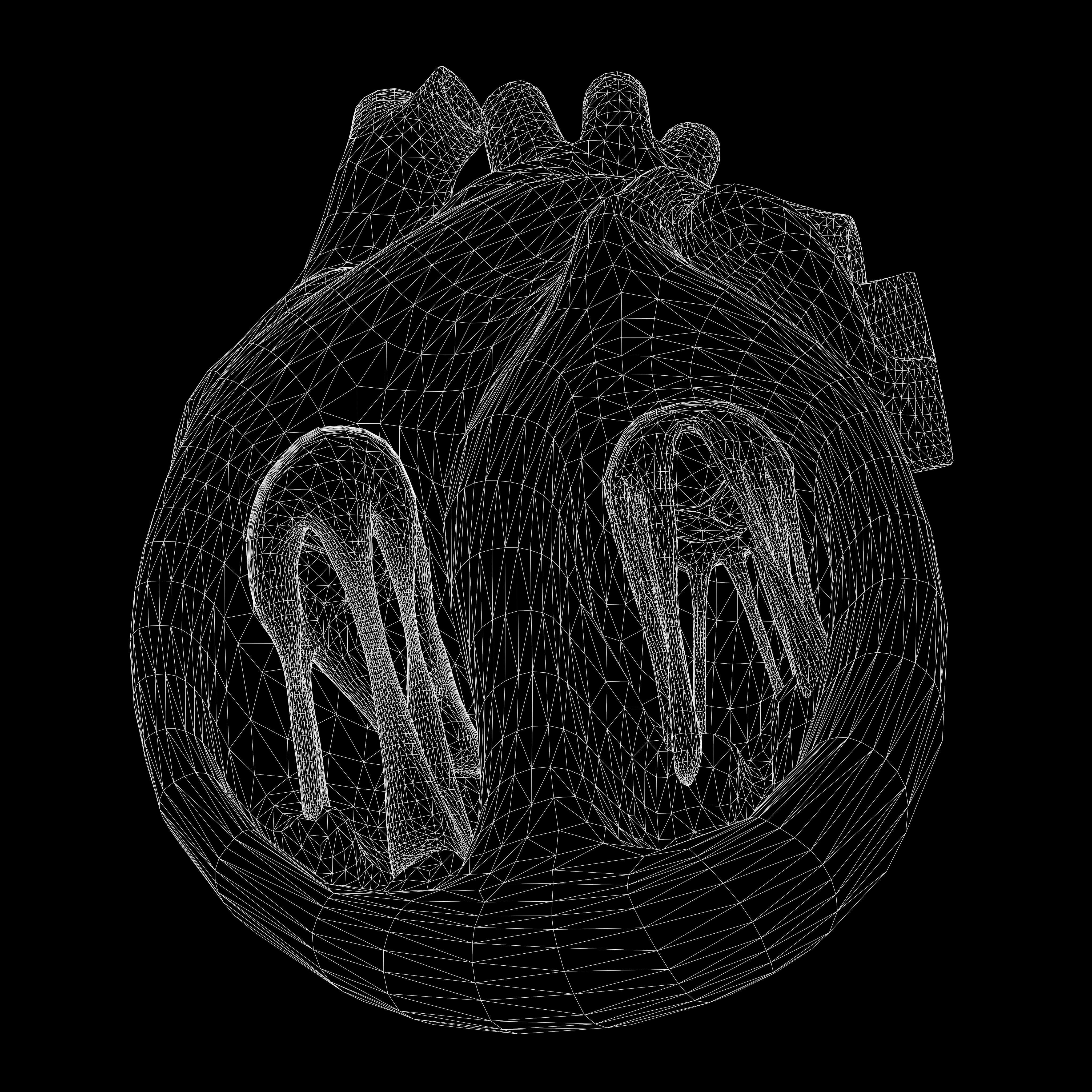 Human Heart Section 3D model_9