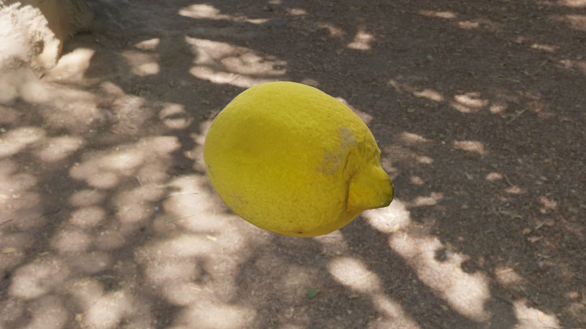 Lemon in sun Free 3D model_1