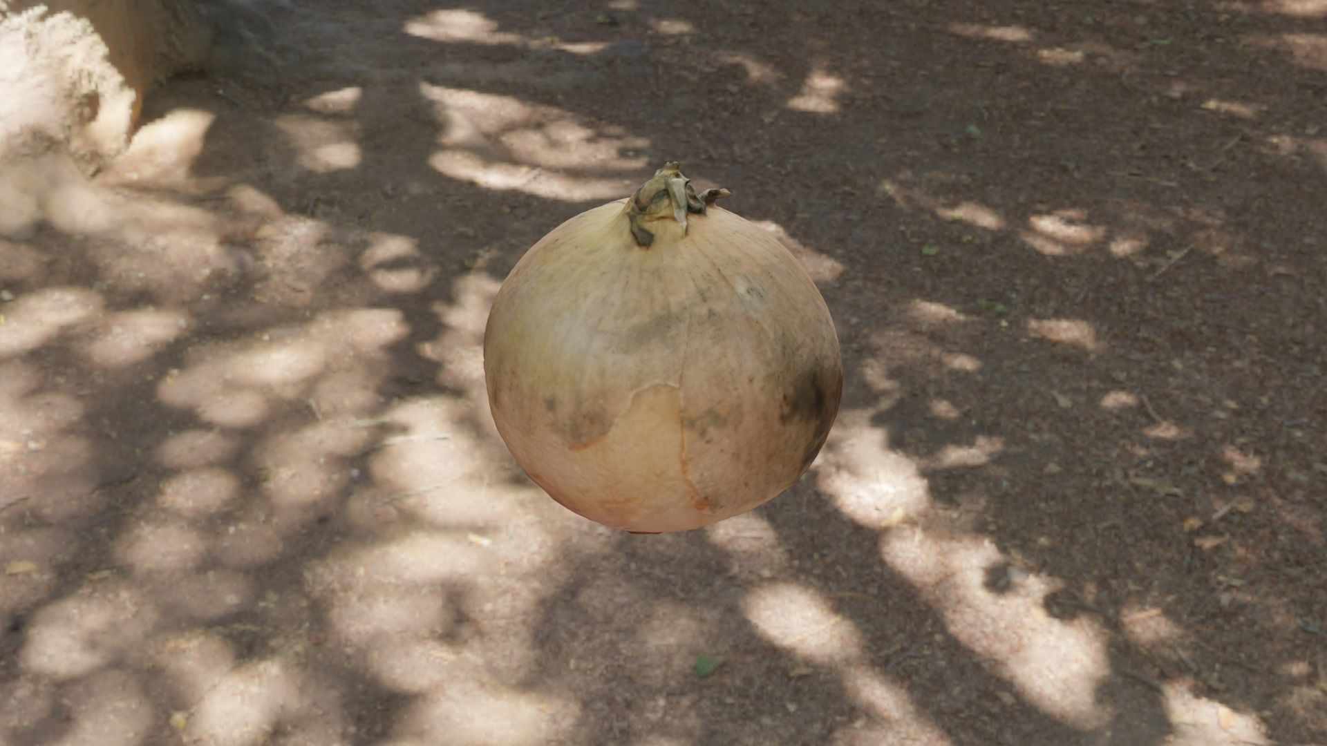 Onion fruit in bowl Free 3D model_1