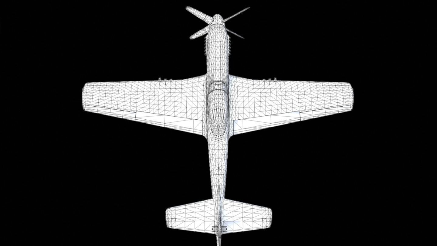 P51 Mustang Low-poly 3D model_3