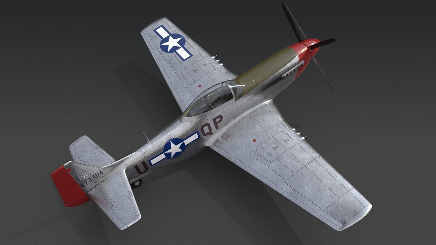 P51 Mustang Low-poly 3D model_5