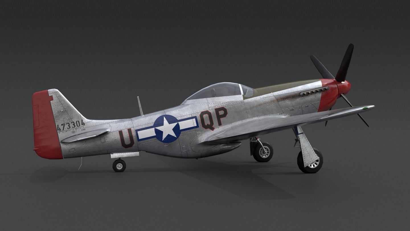 P51 Mustang Low-poly 3D model_6