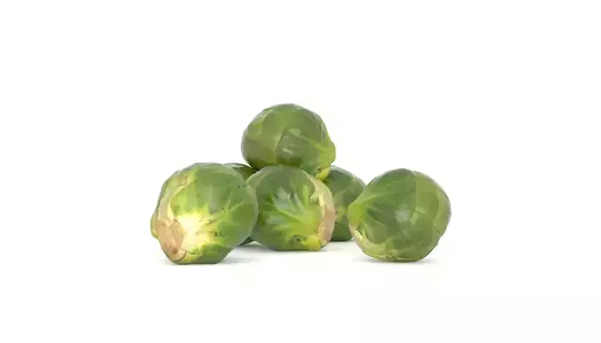 Brussel Sprout Photoscan