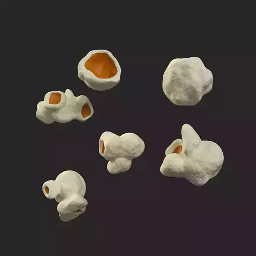 Popcorn kernels 3D model