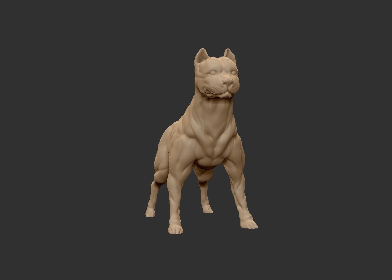 American pitbull terier with tail on leg 3D print model_7