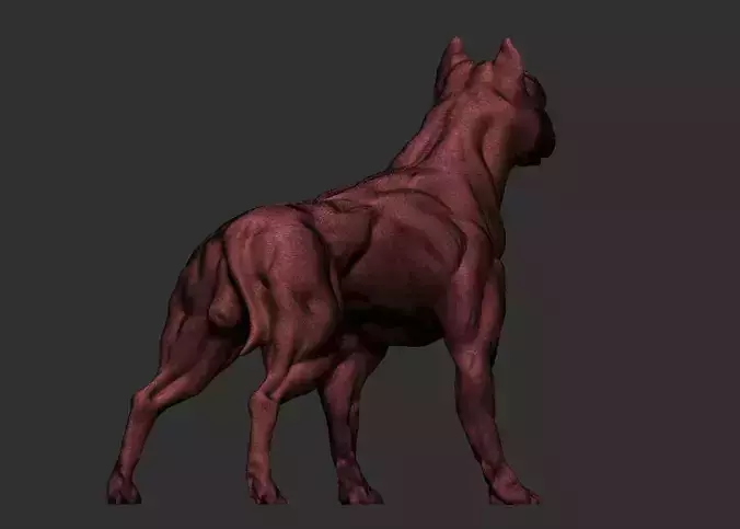 American pitbull terier with tail on leg 3D print model