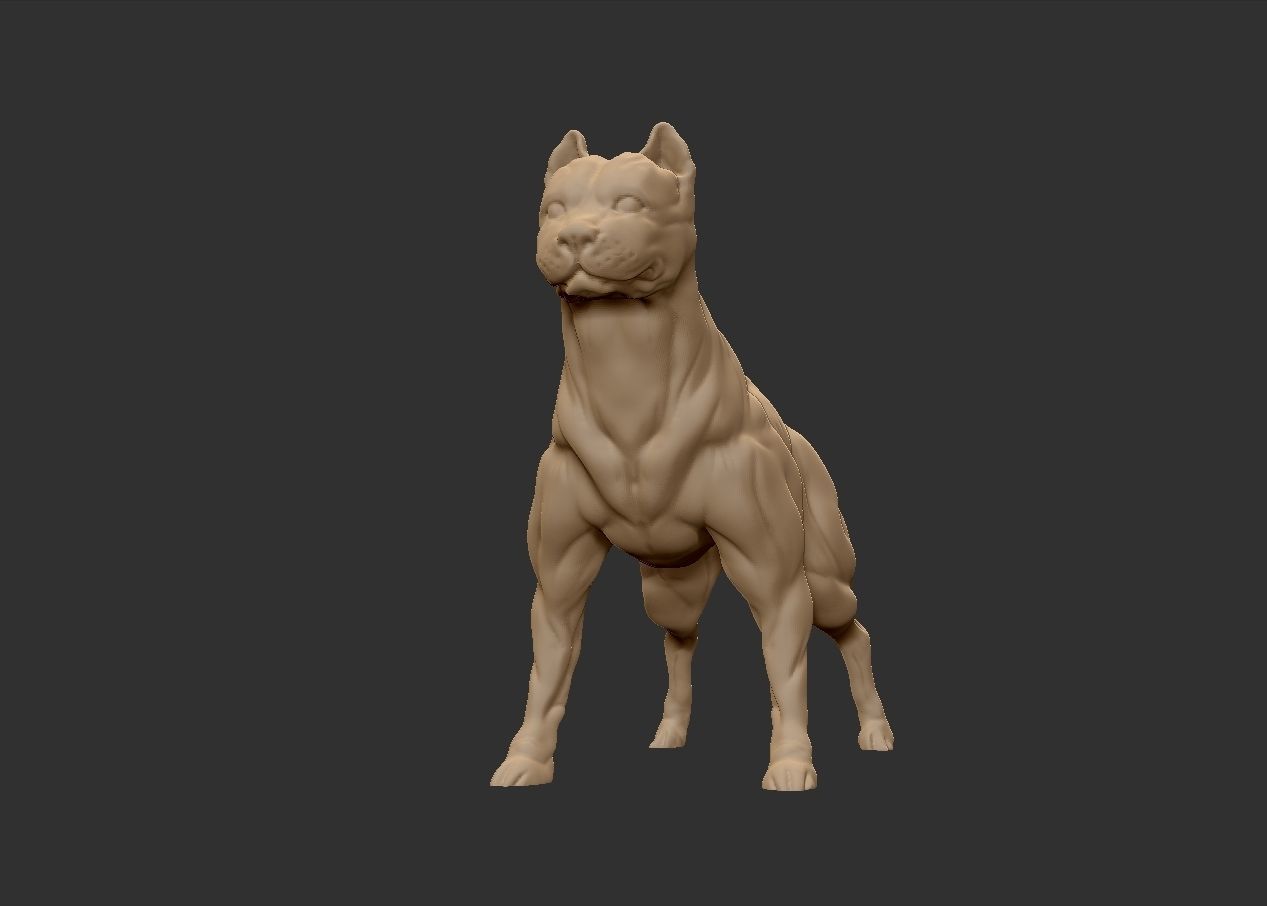American pitbull terier with tail on leg 3D print model_8