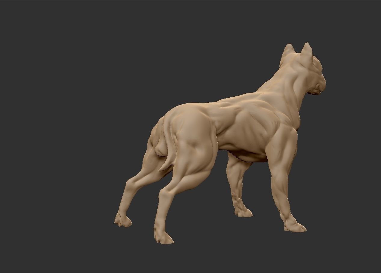 American pitbull terier with tail on leg 3D print model_1