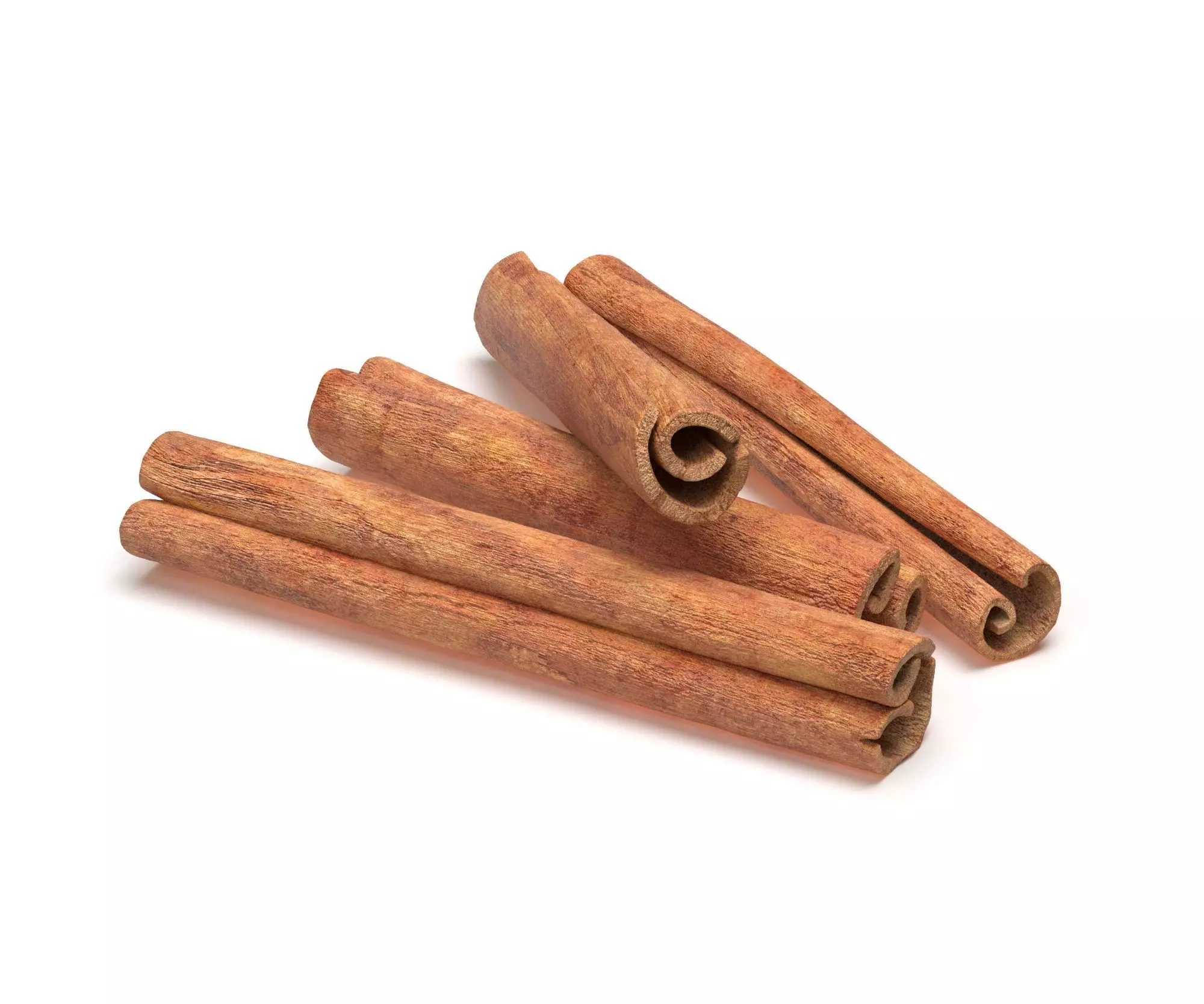 Cinnamon Sticks 3D model
