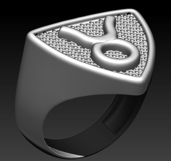 12 Zodiac Signs Ring  Collection Silver Gold  Print 3D print model_10