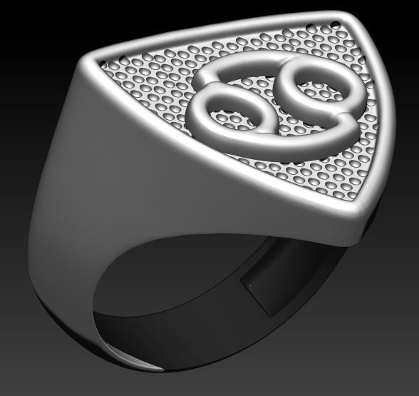 12 Zodiac Signs Ring  Collection Silver Gold  Print 3D print model_12