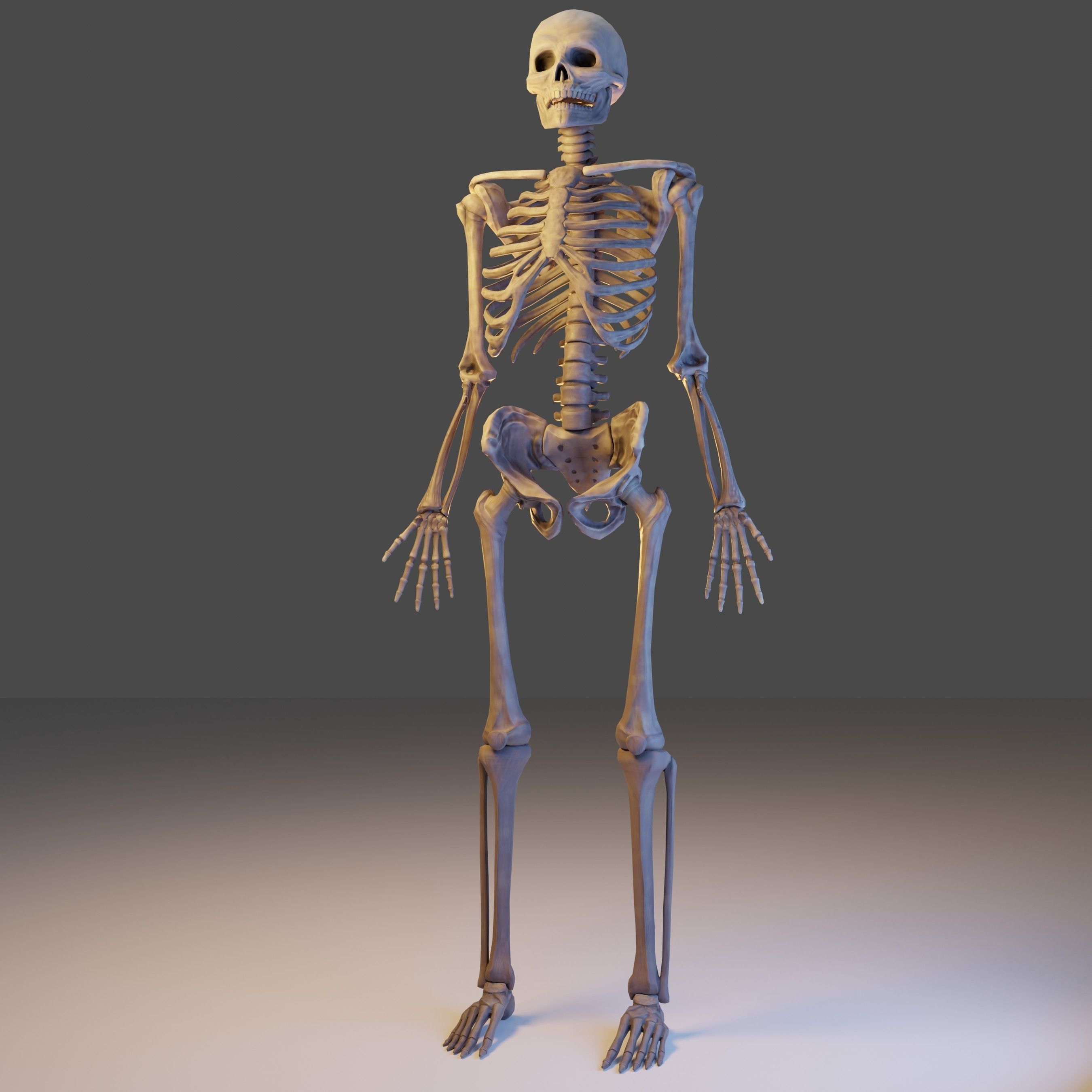 Skeleton Lowpoly 3D Model - Videogame Asset Low-poly 3D model_6