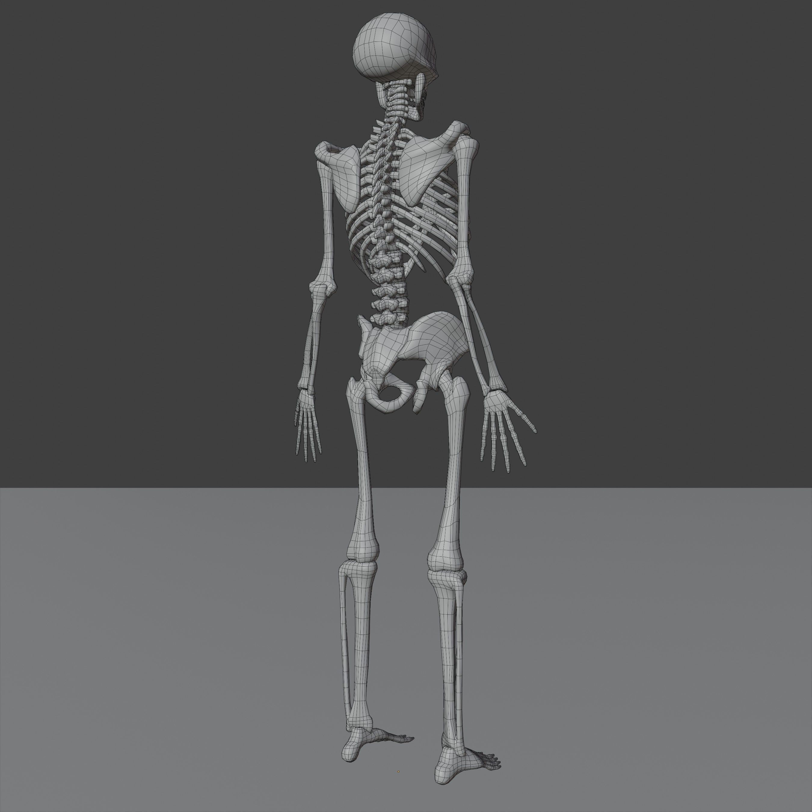 Skeleton Lowpoly 3D Model - Videogame Asset Low-poly 3D model_7