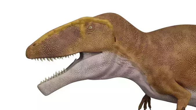 Carcharodontosaurus sahricus