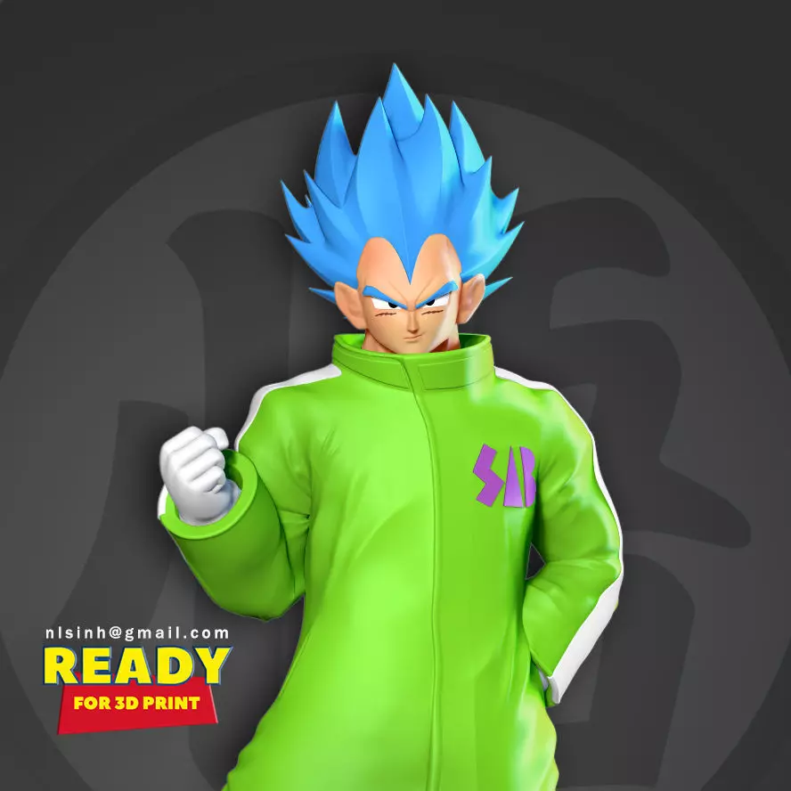 Vegeta In A Green Coat 3D print model_0
