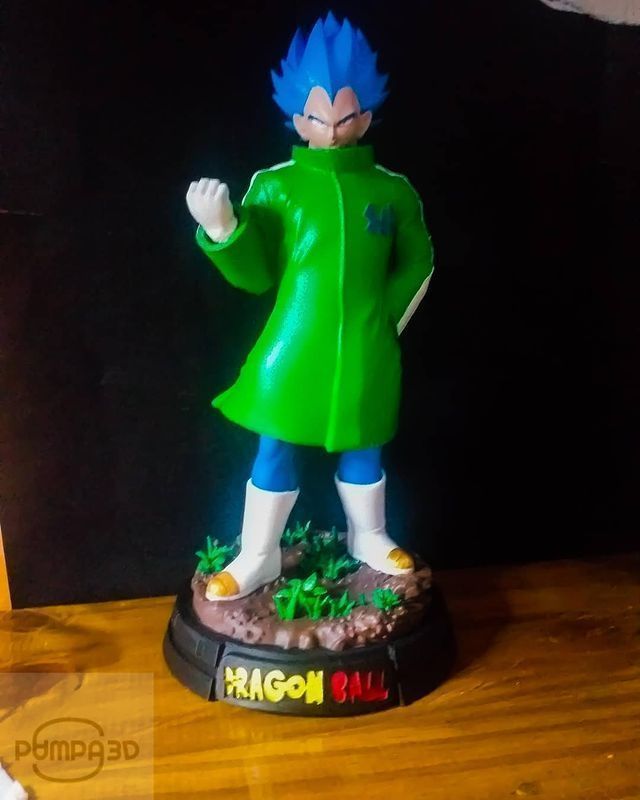 Vegeta In A Green Coat 3D print model_26
