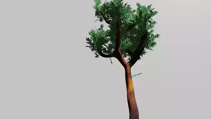 Tree Free eucalyptus PBR Free low-poly 3D model