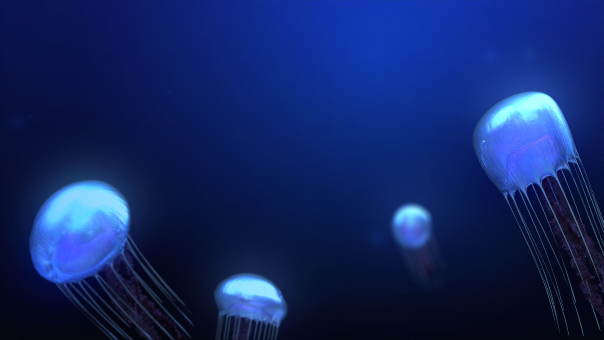 Bio-luminous Jellyfish 3D model_2