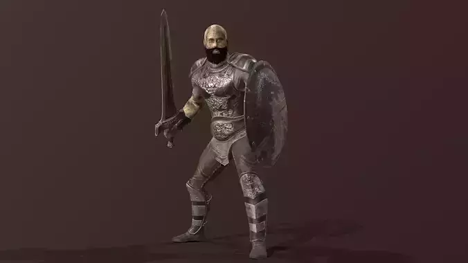 Gladiator knight