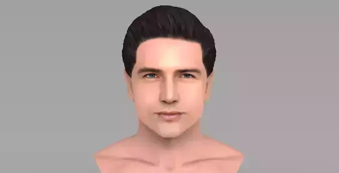 Handsome man bust ready for full color 3D printing TYPE 1