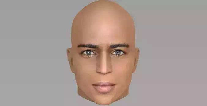 Handsome afroamerican man head TYPE 2 3D model Handsome afroamerican man head TYPE 2 3D model