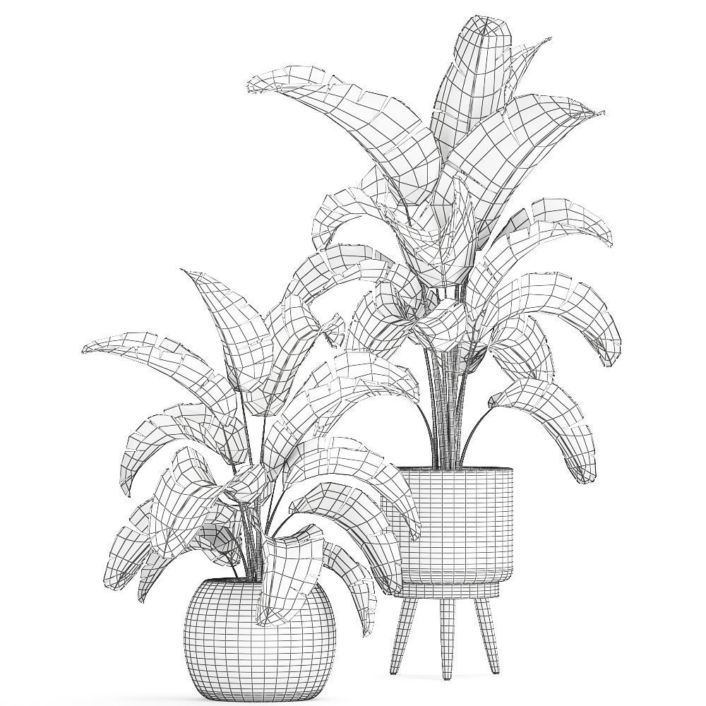 Banana palm in a rattan basket 777 3D model_8