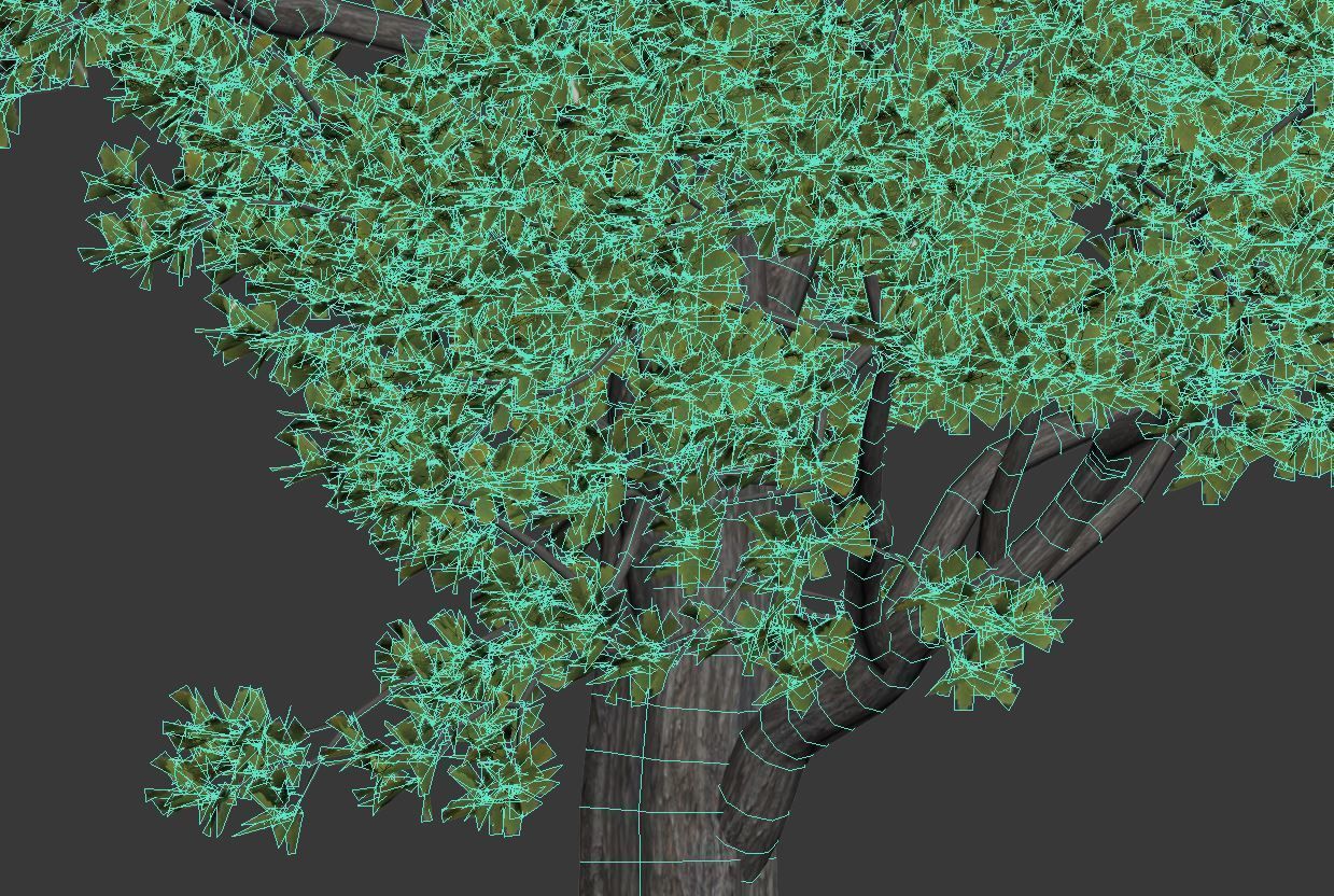 Common oak Nr2 H10-13m Three tree set 3D model_5