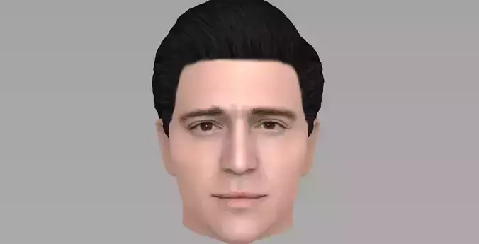 Handsome brunette man head TYPE 3 3D model Handsome brunette man head TYPE 3 3D model