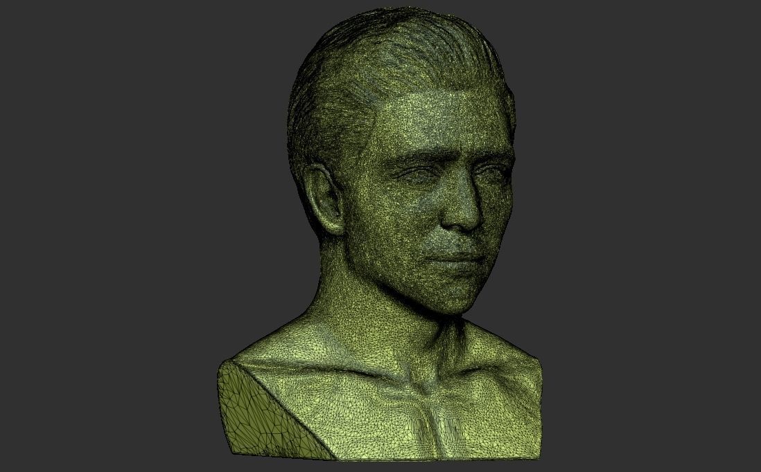 Handsome brunette man head TYPE 3 3D model_36