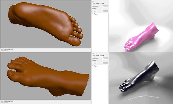 flat - foot - right 3D model