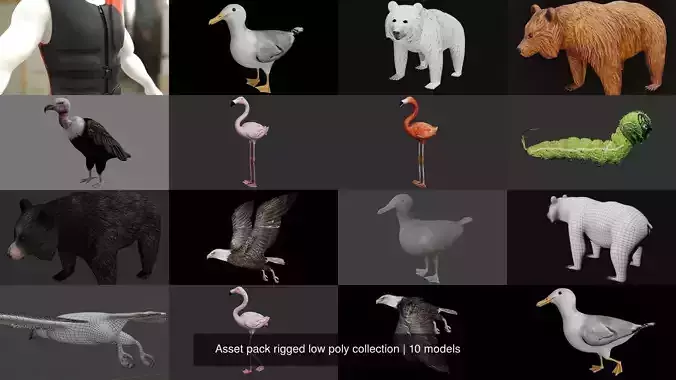 Asset pack rigged low poly collection 
