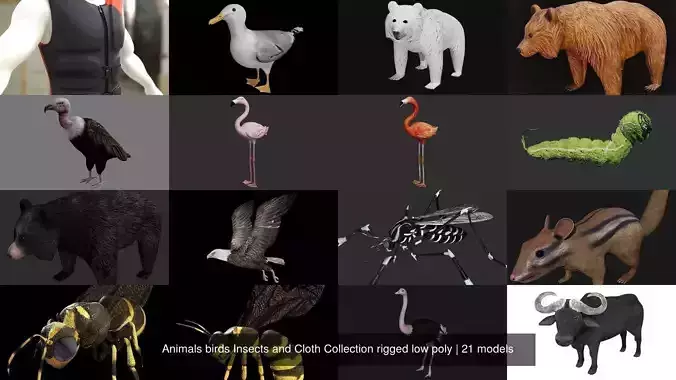 Animals birds Insects and Cloth Collection rigged low poly 