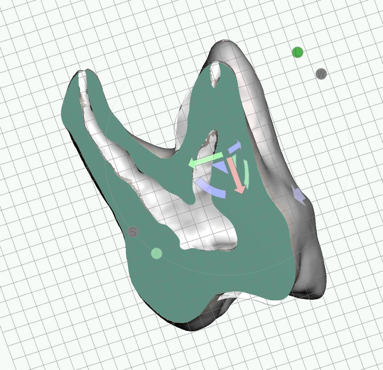 Natural tooth anatomy with canal Free 3D print model_2