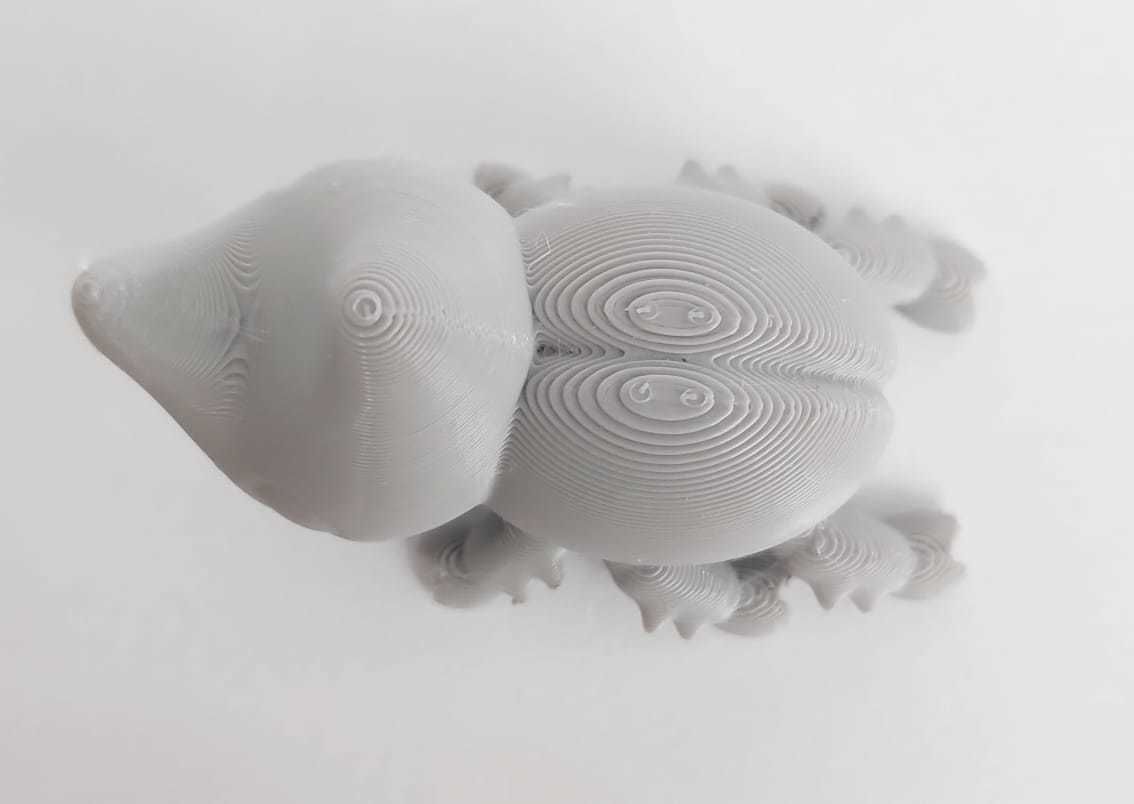 Cute Beetle 3D print model_8